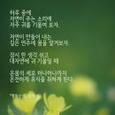 수하 티스토리
