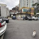 동물병원 누리에뜰 이미지