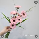 티젤플라워 | 웨딩촬영 생화 부케 추천 치유플라워 계약 후기