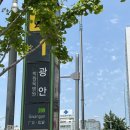 욜로지안