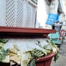 훈이시락국 이미지