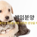 우아펫