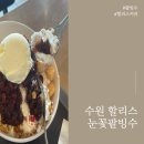 수원팥빙수 할리스팥빙수 2인 내돈내산 후기/가격/칼로리