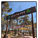 금촌2동 행정복지센터 | 파주시 금촌유아숲체험원