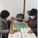 체스(서양장기)지도사 이미지