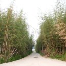 구연동마을회관 이미지