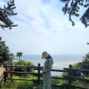 임신 19주~22주 일상,증상 : 정밀초음파 : 한의원에서 침도 맞는 임산부