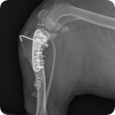 잠실종합동물병원 이미지