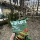 세븐돈산 이미지