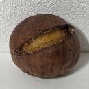 미즈병원 앞 이미지