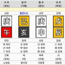 대운 동물병원 | 인생이 갑갑해서 사주보러 대전 심관사에 다녀왔습니다 (대전 사주 잘 보는 곳 추천/내돈내산)