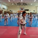 한국태권도아카데미 이미지