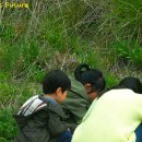 임시공휴일 의 의미 ..! 이미지