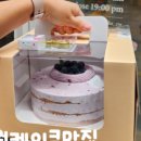 순수당 이미지
