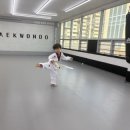 힘차리 태권도장 이미지