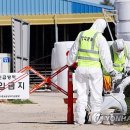 중앙한우농장 이미지