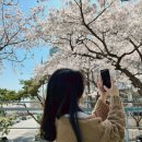 아울리버 이미지