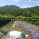 월영모텔 - 10754 | 월영모텔