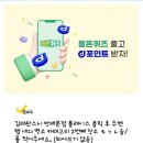 스톤아일랜드 풀빌라 이미지