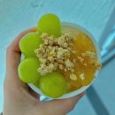 양감농장 | 샤인머스켓 2kg 양감포도농장에서 먹어본 솔직후기