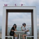 태안 몽산포캠핑 6월13~14일 [지연대장님] 이미지
