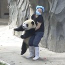 서울내포치과의원 이미지