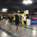 호원태권도체육관 이미지