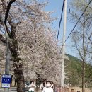 보리공인중개사사무소 이미지