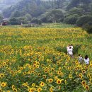 구와우농장 이미지