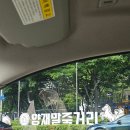 원아트，원화방 | [에바알머슨 리나 슈퍼히어로 체험전] 23개월 아기랑 예쁜공간 서울 전시회 내돈내산 후기