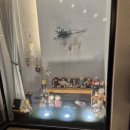 스카이블루 38 이미지