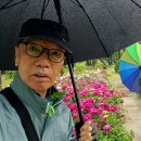 현대꽃동산