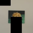 달맞이맨션 | 부산