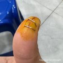 시카고정형외과의원 이미지