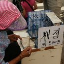 새점 이미지