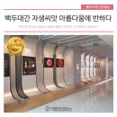 백두대간 자생씨앗 아름다움에 반하다 이미지