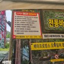 담양 놀거리 전동차 대여 오빠달려