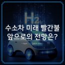수소차 미래에 빨간불? 판매량 급락의 원인과 앞으로의 전망