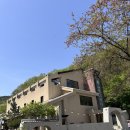 댕댕테이블 | 처인구카페 데이트코스추천 정그리다 카페