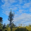 석굴암 산장 | 🇳🇱 네덜란드 DAY 2 - 잔세스칸스🍫🥛