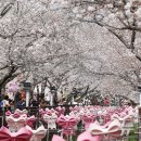 진해구 ⓒ-4 이미지