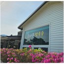황금소나무 | 고성맛집 현지인 추천! 산북소나무막국수