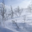 정식행정사사무소 이미지