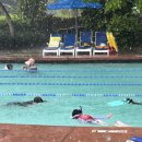 스위밍키즈 태평점 이미지