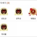 현암주유소 | [한남금북정맥_3구간] 벼재~현암고개 (국사봉~대항산~선두산~선도산)