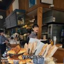 아오이서울 이미지
