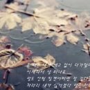 ♬쓰러집니다/서주경(원곡)♬ 이미지