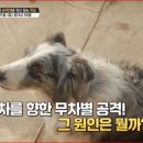 순덕농장 이미지