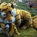 바다성펜션 이미지