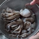 쭈꾸미 - 서구 검단로 842 | 쭈꾸미